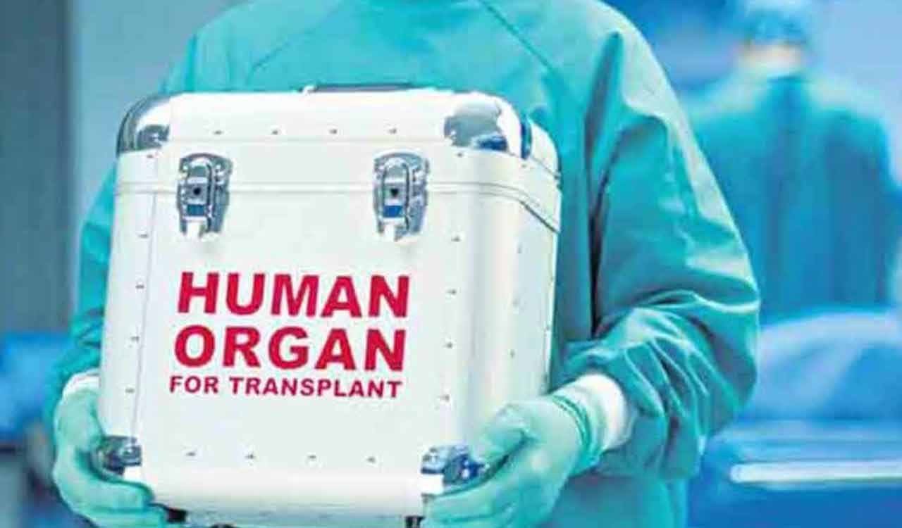 Experts Highlight 27 Growth In Organ Transplants In India Emphasise