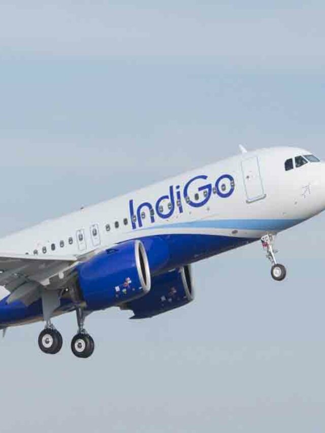 Indigo To Start Direct Flights From Delhi To Uzbekistan And Kazakhstan