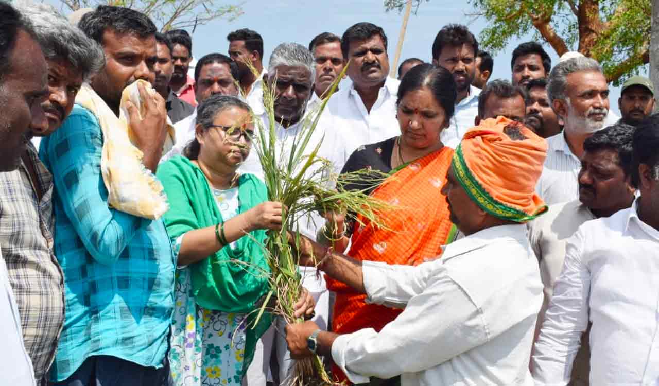 Unseasonal Rains Loss In Medak District Put At Acres Telangana