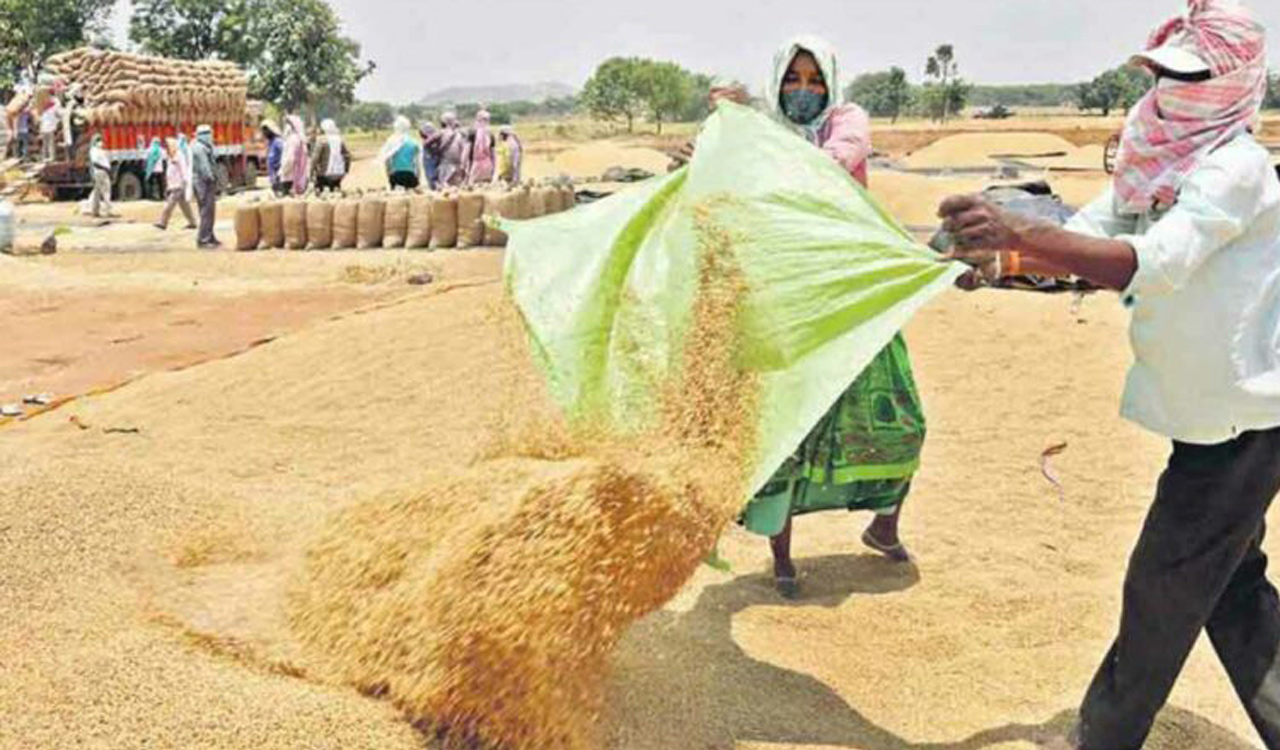 Over Lakh Tonnes Paddy Worth Rs Crore Procured In Telangana