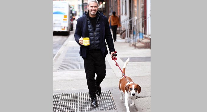 Andy Cohen reunites with rescue dog Wacha