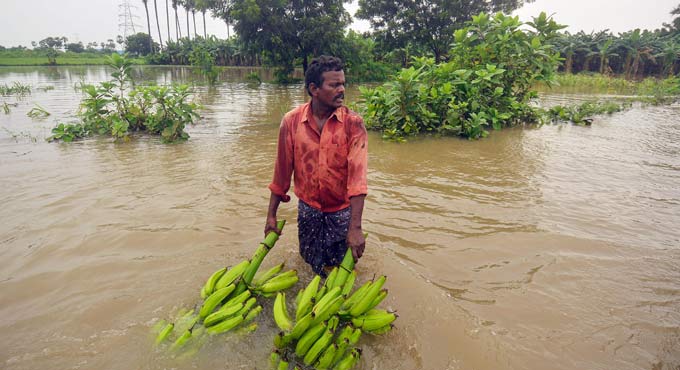 Ten killed in rain havoc in Andhra Pradesh
