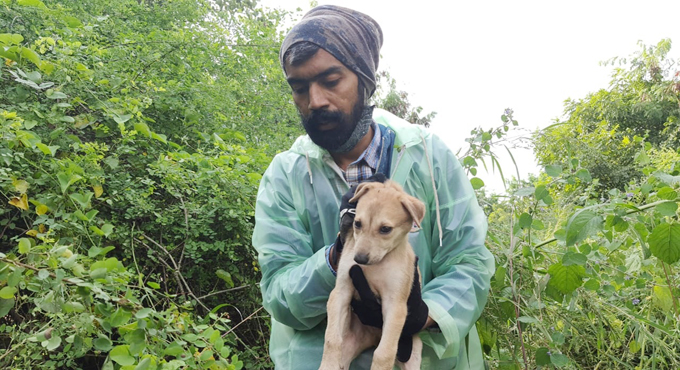 Hyderabad rains: Animal welfare team rescues 28 animals