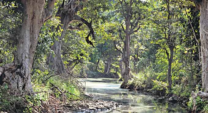 Telangana creating biodiverse ecosystems