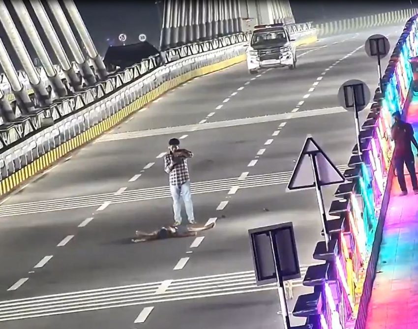 Watch: Selfie stunts at Durgam Cheruvu cable bridge