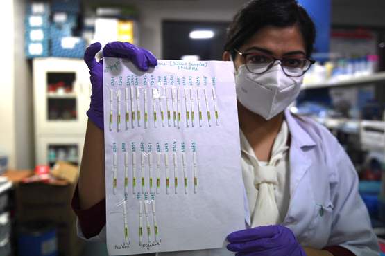 India to roll out quick and cheap coronavirus paper test