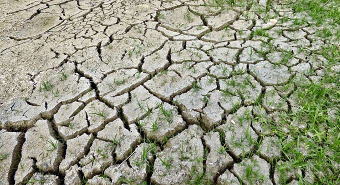 Droughts are threatening global wetlands: Study