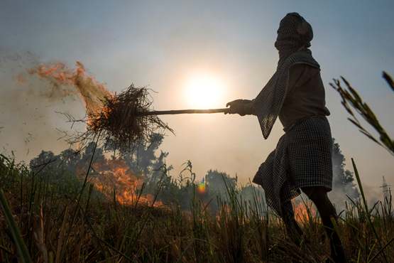 Delhi pollution: Farm fire contribution likely to increase