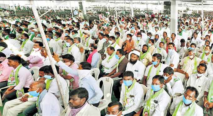 CM KCR’s assurance cheers paddy farmers