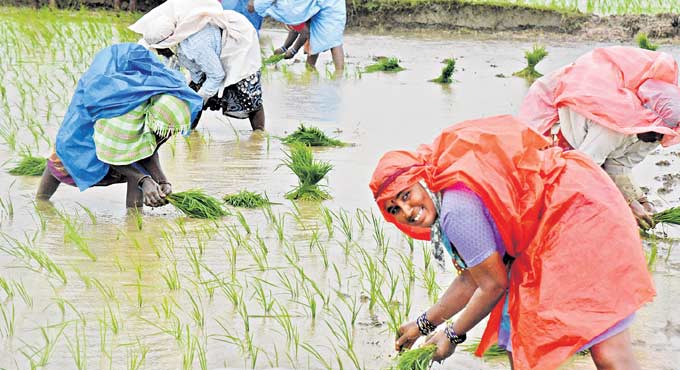 Telangana State waives off Rs 27,712 crore crop loans