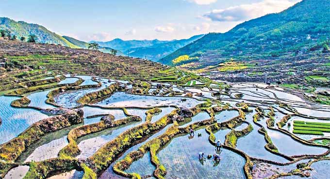 GIAHS- Protecting agricultural biodiversity