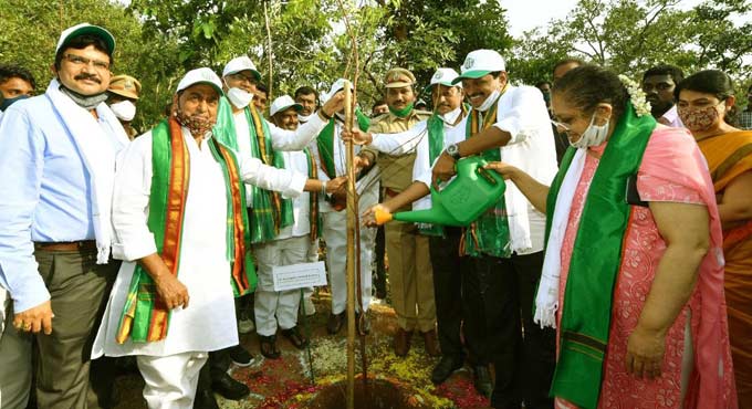 Hetero Drugs adopts 2,543 acres of forest area in Telangana