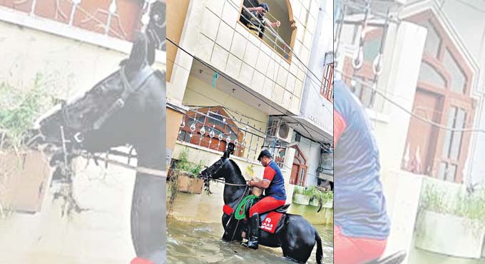horseback