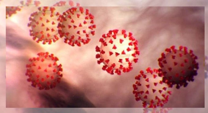 Humans can transmit Covid-19 virus to wildlife: Study