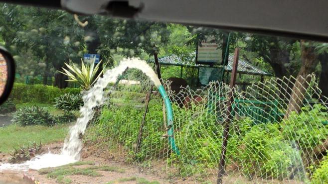 Hyderabad rains: Zoo Park closed