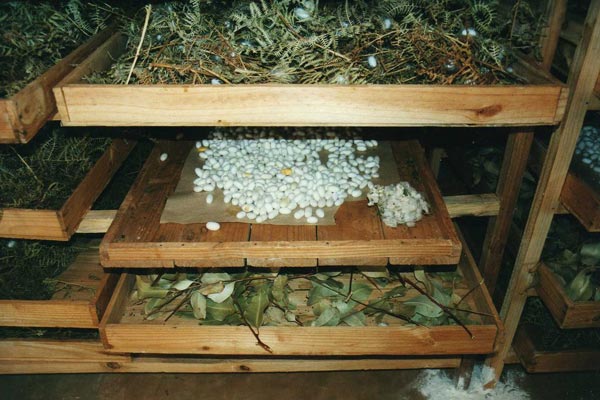 How did silk get out of China?