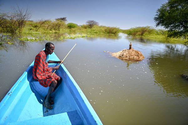 Like the speed of the wind