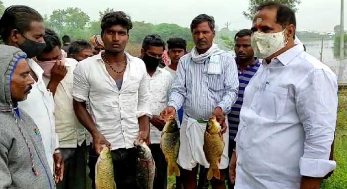 Large number of fish found dead in tank in Medak district