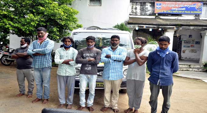 Sultanabad police bust goat, sheep theft gang