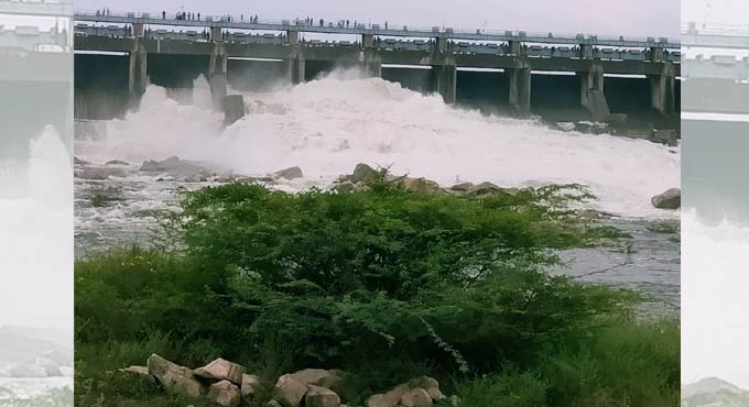 Singur, Nizamsagar see good inflows