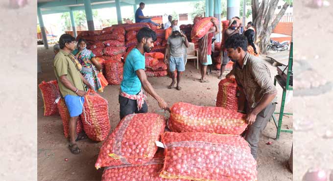 Onion prices
