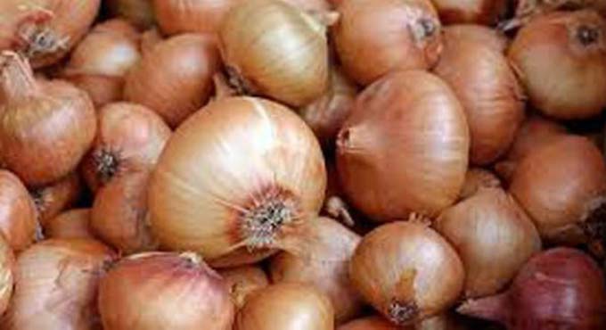 Govt to sell onions at Rs 35 per kg at Hyderabad Rythu Bazaars