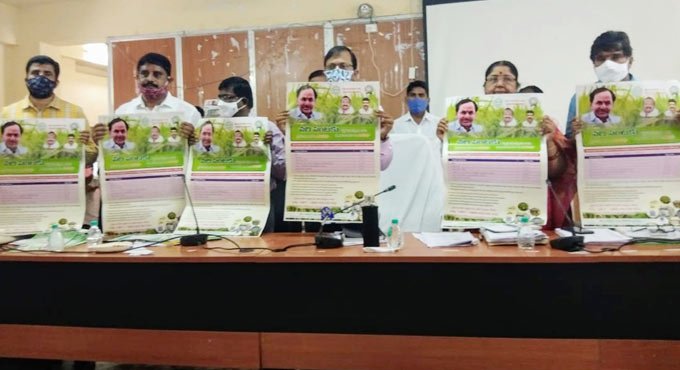 Paddy procurement centres to open from November 5 in Suryapet