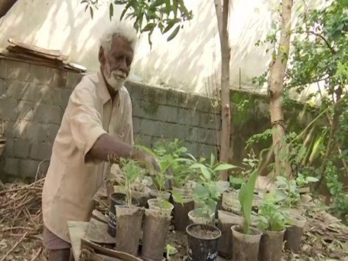 Bengaluru: 79-year-old roadside sapling seller’s sales double after viral photo