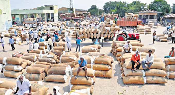 Token system for cotton purchase in Telangana-Telangana Today