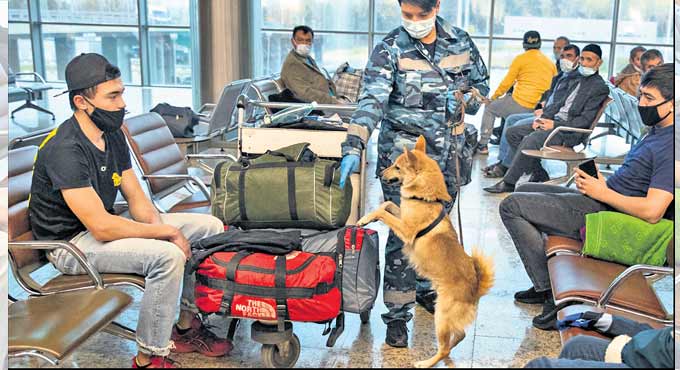 How does police train sniffer dogs?