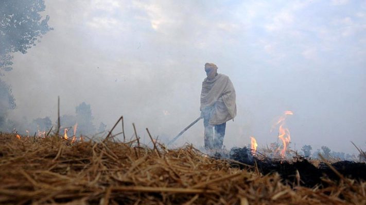 SC appoints ex-judge M B Lokur as one-man panel to prevent stubble burning