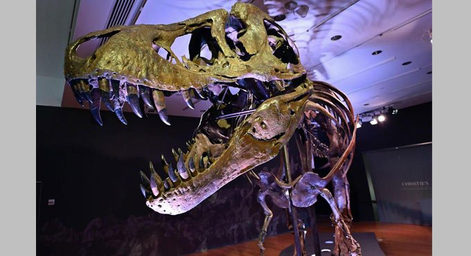 Tyrannosaurus Rex- one of the largest carnivorous dinosaurs