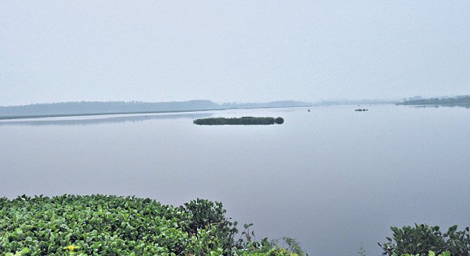 Link all the 185 tanks in Hyderabad to prevent future floods: Experts