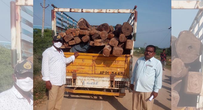 Six held for smuggling teak timber in Adilabad