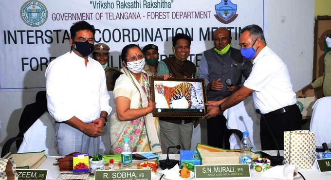 TS, Maha, Chattisgarh decide to work in tandem to protect tigers