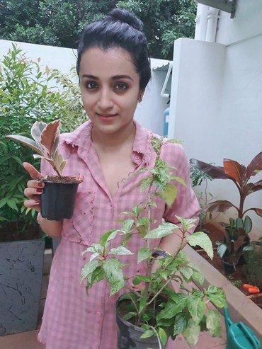 Trisha Krishnan sends out the green message