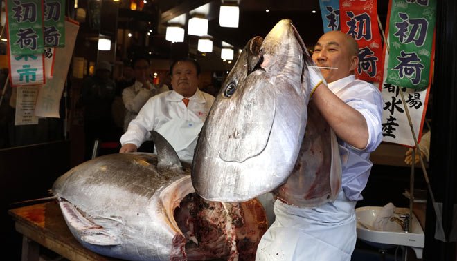 Japan seeks to boost catch limits of prized bluefin tuna
