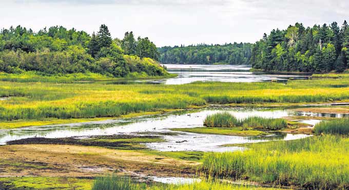 Another wetland in India makes it to the Ramsar list