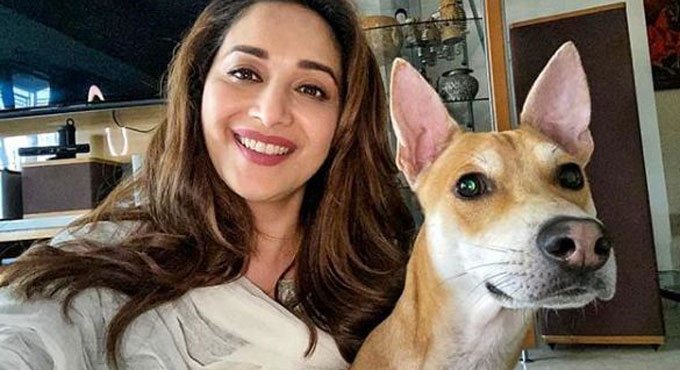 World Animal Day: Madhuri urges love, affection and respect for animals