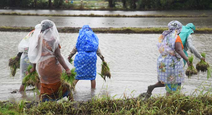 Agri exports rise 43.4 per cent in Apr-Sept