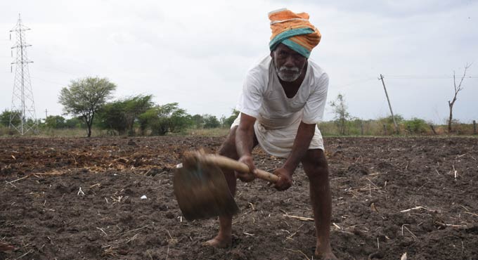 Retail inflation eases marginally for farm, rural workers in Sept