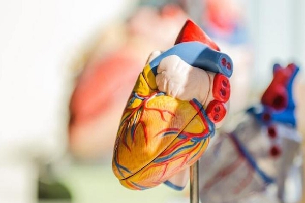 Lockdown led to better heart health in masses: Report