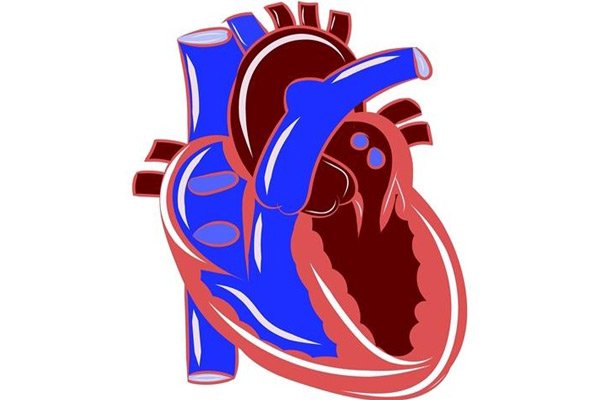COVID-19 survivors are returning to hospitals with reduced heart functions