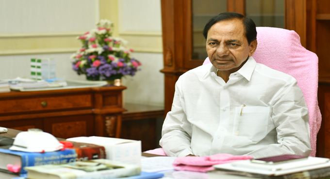 Telangana govt to procure entire paddy, cotton crops produced in Vaanakalam