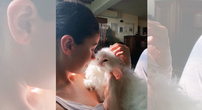 Alia Bhatt cuddles pet cat Edward in adorable Instagram post: ‘My muse’
