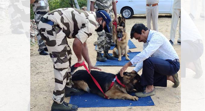 Anand_dogs