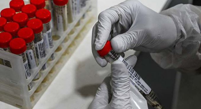 Global COVID-19 caseload breaches 50 million mark