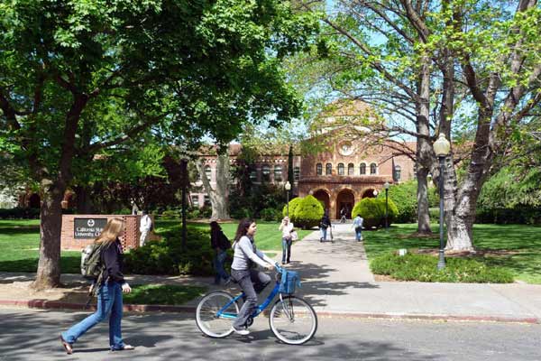 Become an all-rounder at CSU