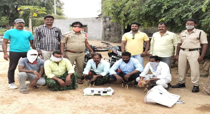 Cops detain five cockfight organisers in Peddapalli