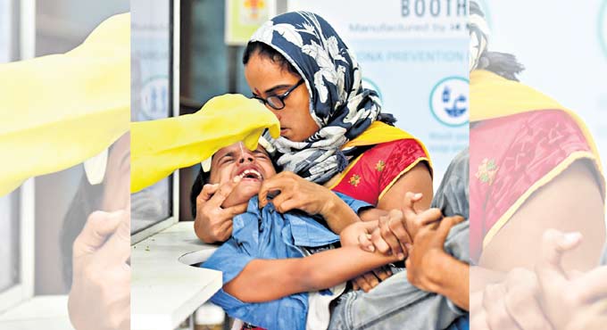 Horses hold key to Covid care?